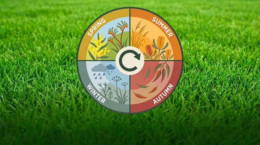 Repeat as per the label or whenever the lawn looks hungry