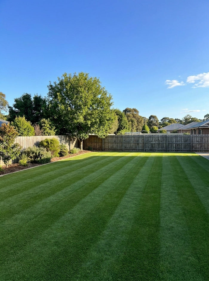 New turf, raised beds · Adelaide, SA